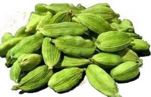 خرید-هل-سبز-اکبر