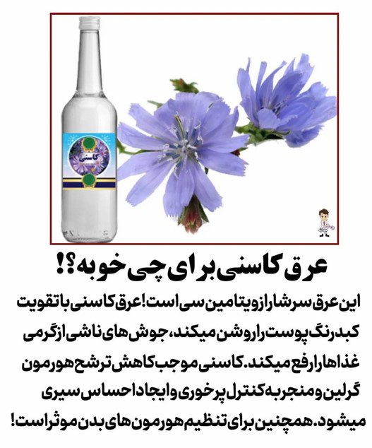 عرق-کاسنی-برای-کبد