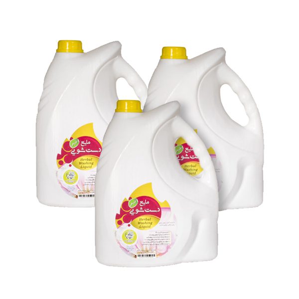 ریکا-و-مایع-دستشویی-گیاهی